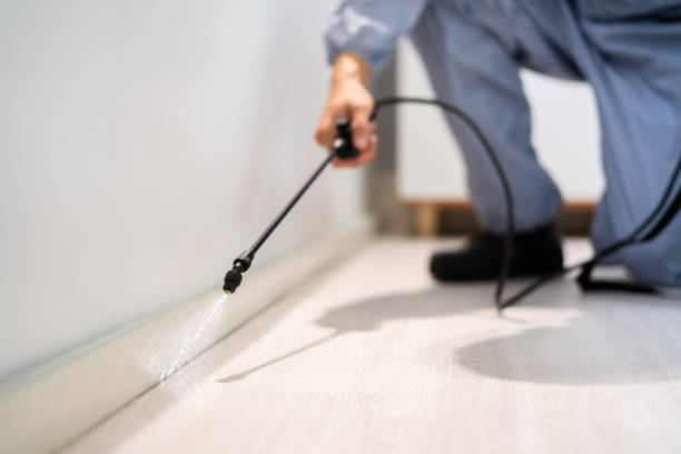 Licensed Termite Control service in Lisbon, ME - Nex Pest Control