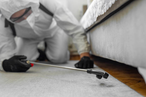 Professional Termite Control technician working in Lisbon, ME