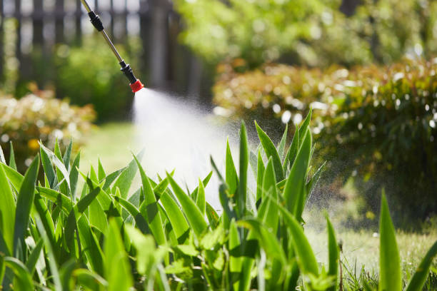 24/7 Emergency Termite Control experts in Lisbon, ME