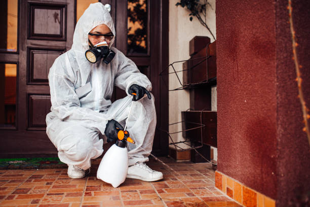 Reliable Termite Control contractor in Lisbon, ME by Nex Pest Control