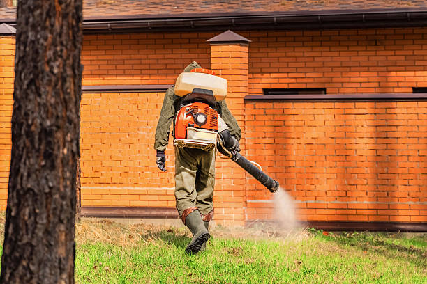 Top rated local Termite Control specialists in Lisbon, ME